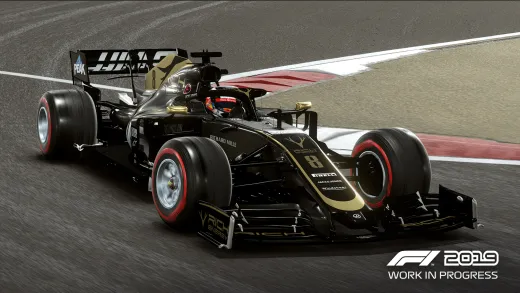 F1 2019 [Jubiläums Edition]