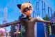 Miraculous: Ladybug & Cat Noir - Der Film {Blu-ray}
